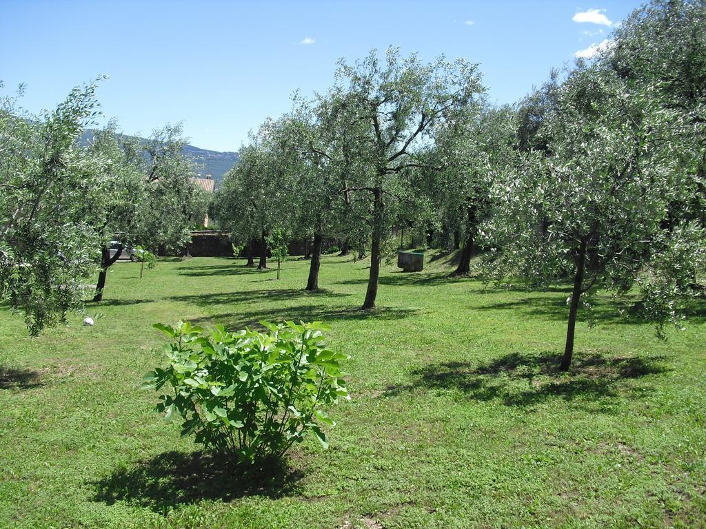 Ferienwohnung Campolivo Gargnano Exterior foto